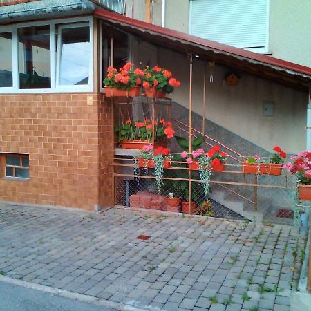 Apartment Janja Vojnik Exterior foto