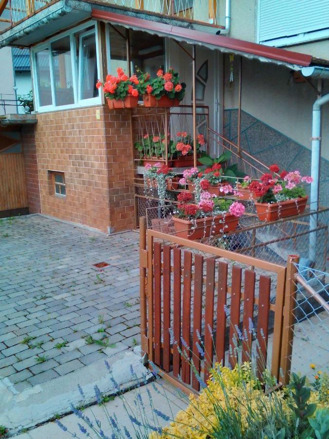 Apartment Janja Vojnik Exterior foto